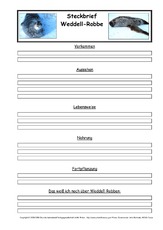 Weddell-Robbe-Steckbriefvorlage.pdf